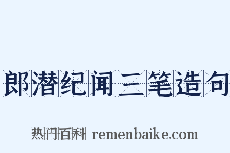 郎潜纪闻三笔造句是什么意思的图片